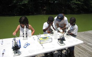 kids and adult doing science experiments